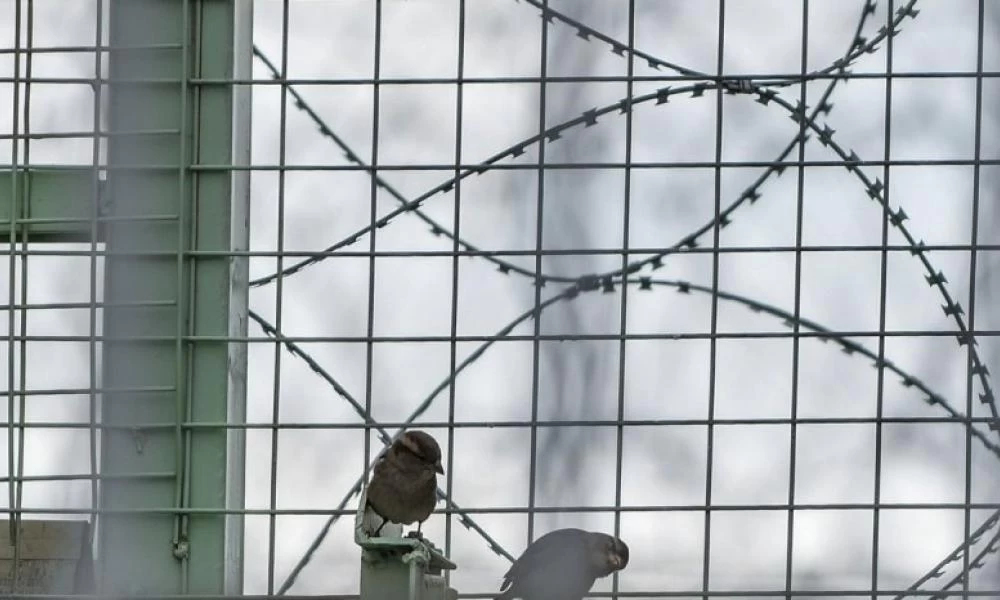 Λάρισα: Σωφρονιστικοί υπάλληλοι "τσάκωσαν" κρατούμενο με ναρκωτικά